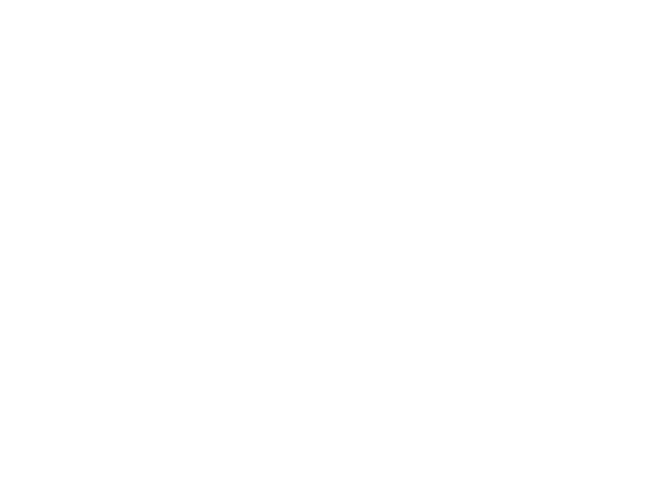Boston Chimney Sweep